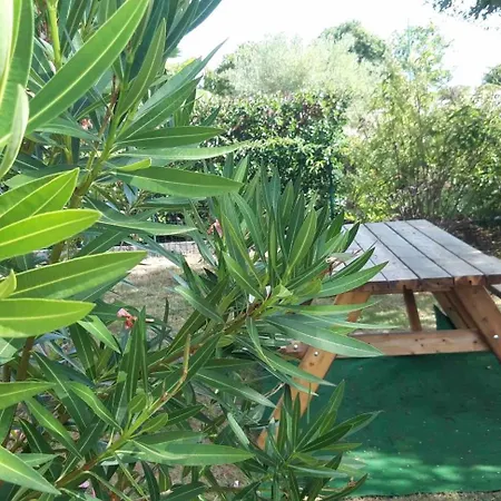 Maison Pres Du Mimizan * Aureilhan (Landes)