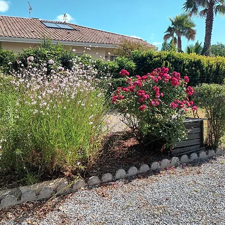 Maison Pres Du Mimizan Сasa de vacaciones *