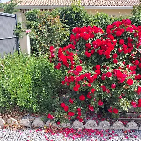 Сasa de vacaciones Maison Pres Du Mimizan